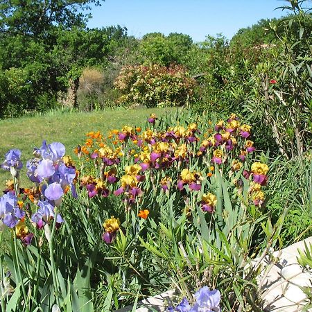 Villedieu  B&B La Cigaline מראה חיצוני תמונה